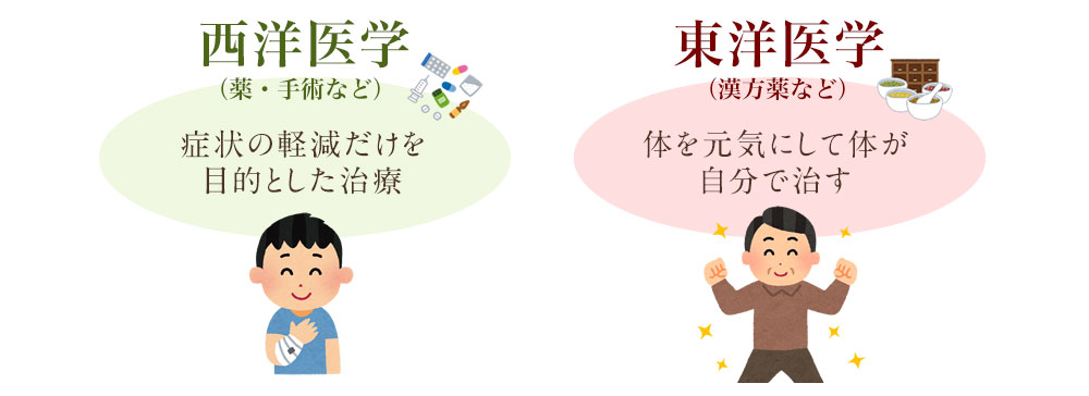 西洋医学、東洋医学の違い